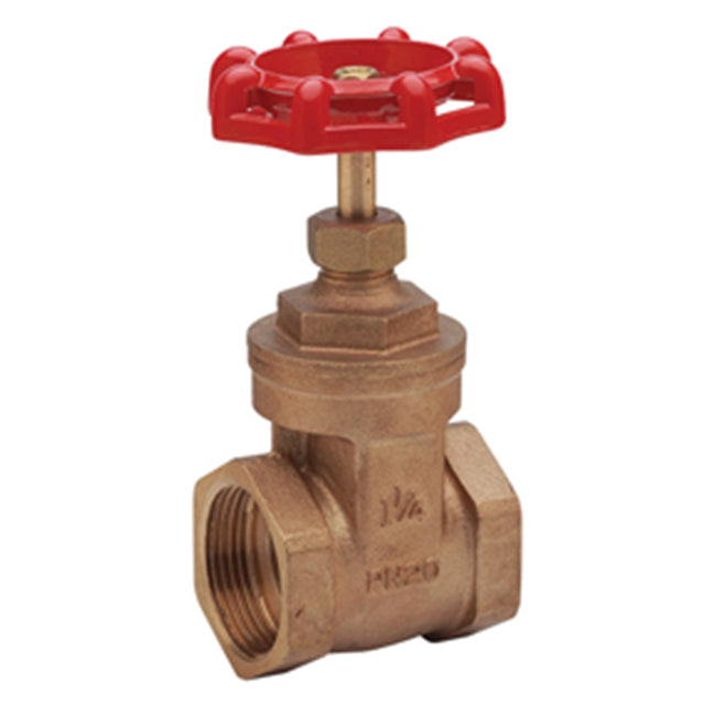 Bronze Gate Valve - PN20 - NPT