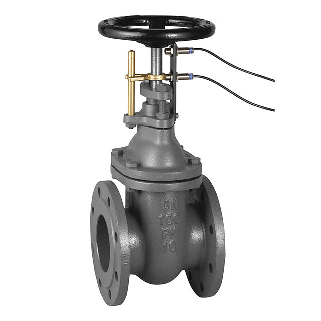 Cast Iron Gate Valve - Flanged PN16 - Cast Bronze Seat - Proximity Sensor