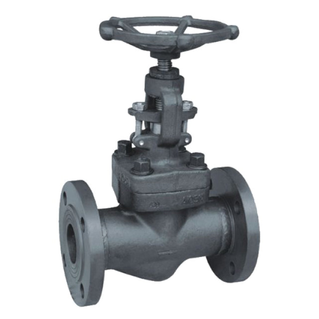 Forged Steel Globe Valve - Flanged ANSI 300