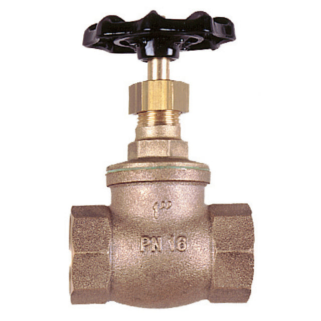 Bronze Globe Valve