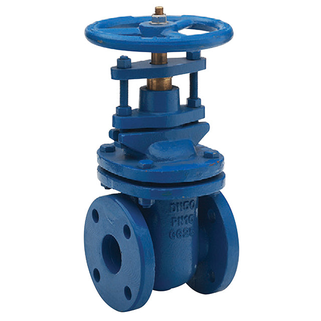 Cast Iron Gate Valve - Flanged Table D
