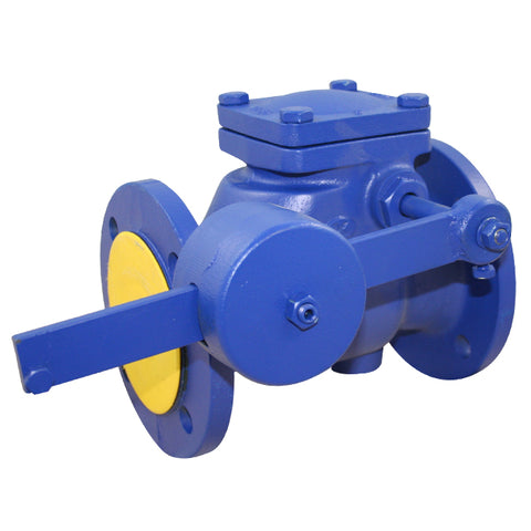 Cast Iron Check Valve - Flanged PN16 - EPDM Seat - Lever & Weight