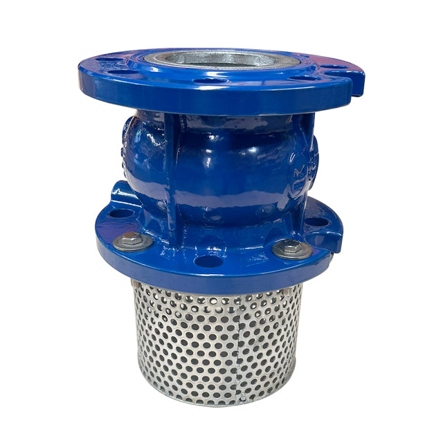Foot Valve & Strainer - Flanged PN10