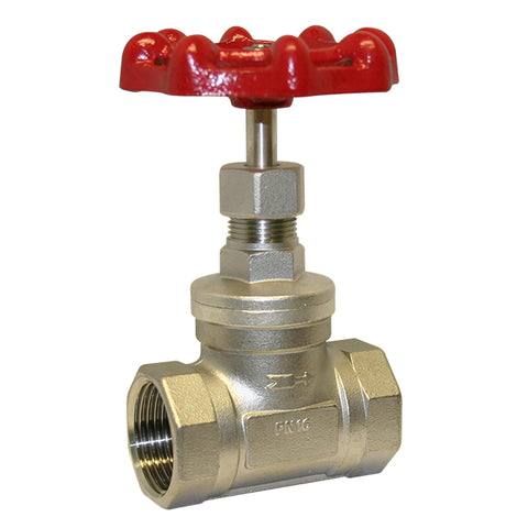 Stainless Steel Globe Valve - Screwed BSPP