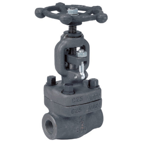 Forged Steel Globe Valve - Screwed BSPT