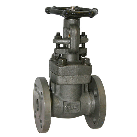 Forged Steel Gate Valve - Flanged ANSI 300