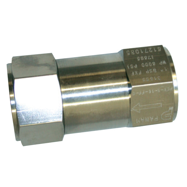 Stainless Steel Check Valve - Screwed BSPT - 6000psi