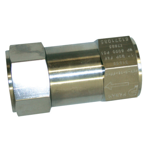Stainless Steel Check Valve - Screwed BSPT - 6000psi